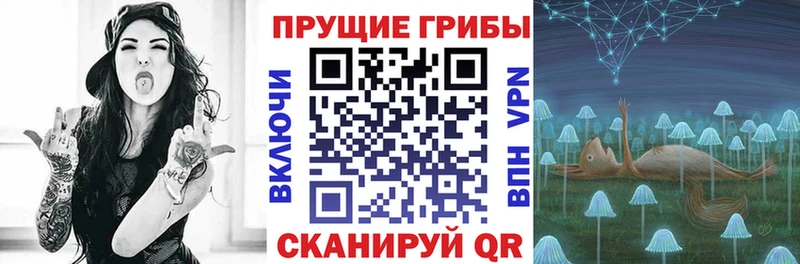 Псилоцибиновые грибы Magic Shrooms  купить наркотики сайты  Райчихинск 
